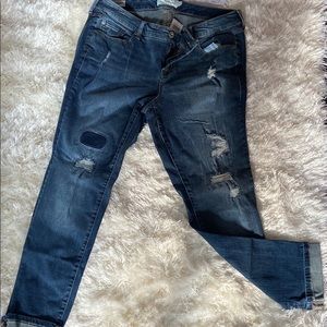 Brand new torrid jeans